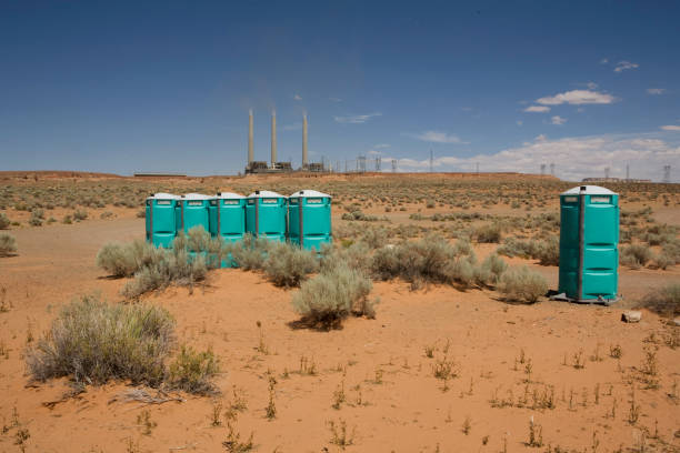 Best Lawn Pest Prevention  in Holloman Af, NM